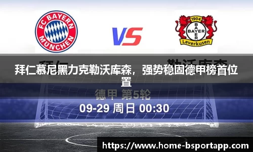 bsports登录入口